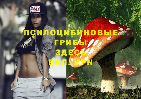 прущие крисы Аркадак