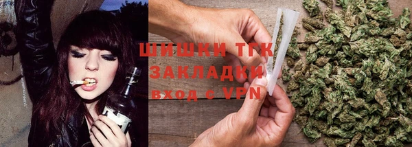 прущие крисы Аркадак
