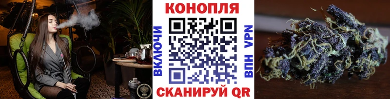 Конопля White Widow  Купить  Хилок 